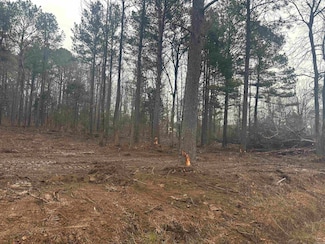 TBD Bob Hall Rd Unit Tract D, Donaldson, AR 71941