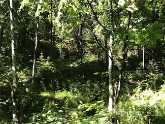 Lot #74 Marshall Ridge Rd, Edneyville, NC 28792
