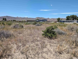 1 Pine Valley Ct, Yerington, NV 89447