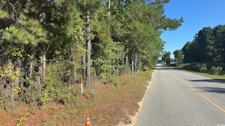 0 Bass Mill Rd, Sellers, SC 29592