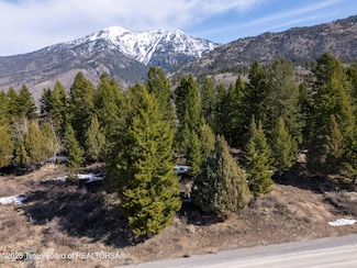 L26 BLK3 Cutthroat Run, Irwin, ID 83428