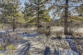 226 Arapahoe Dr, Florissant, CO 80816