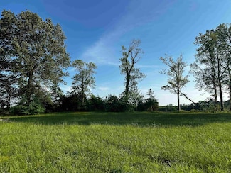 Lot 31 Catfish Ln, Crump, TN 38327