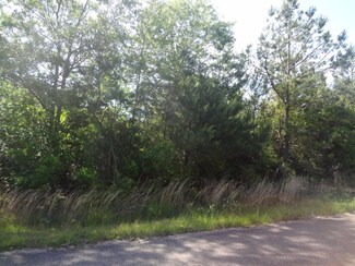 Lot 8 Jacob Michael Dr, McHenry, MS 39561
