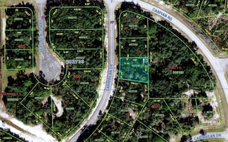 1239 Caribbean Dr, Poinciana, FL 34759