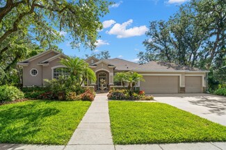 15921 Sorawater Dr, Lithia, FL 33547