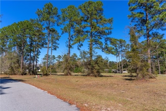 xx Sapelo Park Dr NE, Townsend, GA 31331