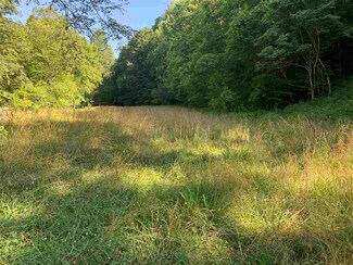 0 9 Mile Creek Rd, Branchland, WV 25506