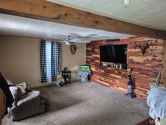 111 S College St, Arcadia, MO 63621