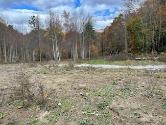 0 Campbell Creek Rd, Robbinsville, NC 28771