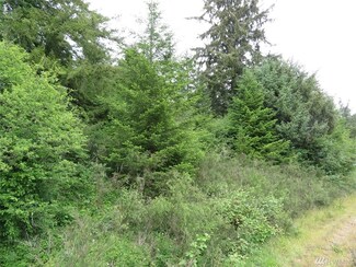 0 Hwy 101 Unit 1313588, Humptulips, WA 98552