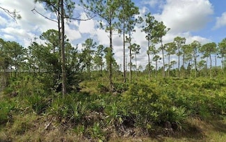 27423 Chrysalis Dr, Punta Gorda, FL 33955