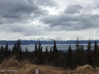 L11 Elata Ave, Fritz Creek, AK 99603