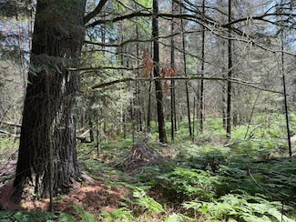 3280 Murmuring Pines Trail, Pelican, WI 54501