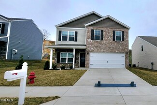 1619 Fox Meadows Cir, Bluff City, TN 37618