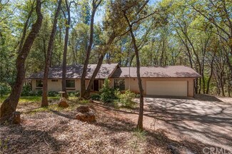 4890 Tippitoe Ln, Forest Ranch, CA 95942