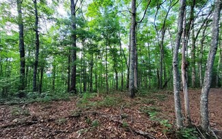 21 Fielding Place, Murphy, NC 28906