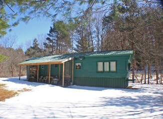10316 Newville Rd, Dalton, NY 14836