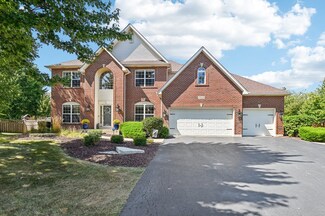13422 Lindengate Ct, Plainfield, IL 60585
