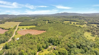County Rd 29, Piedmont, AL 36272