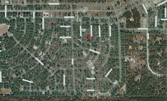 Tbd0001 Fisher Lane Terrace, Ocklawaha, FL 32179