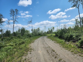 451 Ac Smith Ridge Rd, Charlotte, ME 04666