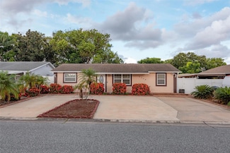 4239 Cardoon Dr, New Port Richey, FL 34653