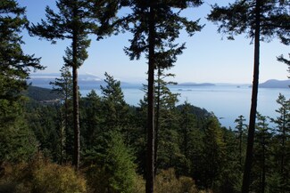 252 Roehls Bluff Ln, Olga, WA 98279
