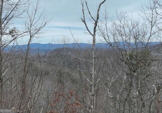 235 Andes Ridge, Ellijay, GA 30536
