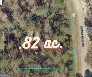 1041 Fairway Ridge Rd, Greensboro, GA 30642