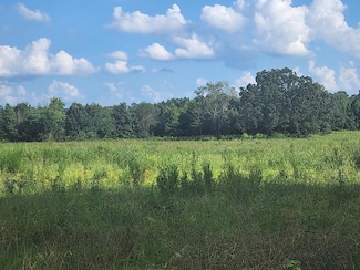 000 Mount Zion Rd, Big Sandy, TN 38221