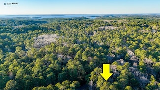 9 Victoria Dr, Sam Rayburn, TX 75931