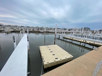 317 Peninsula E Unit E, New Buffalo, MI 49117
