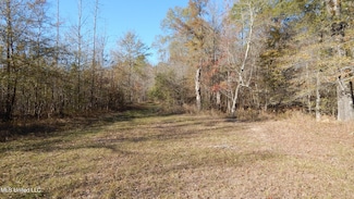 4885 Ennis Rd, Starkville, MS 39759