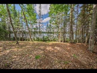 Lot 160 Clearwater Lake Trail, Three Lakes, WI 54521