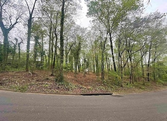 0 Scenic Dr NE Unit 520660, Cullman, AL 35055