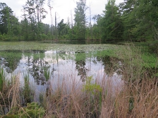 On Land Fill Rd, Newton, MS 39345