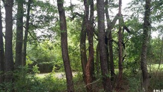 18 Leo Green Rd, Beaufort, SC 29906
