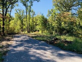 1315 Rimfire Dr, Beechgrove, TN 37018
