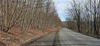 0 Barden Hill Rd, Richford, NY 13835