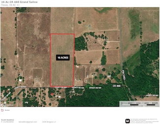 16 Acres County Road 460, Grand Saline, TX 75140