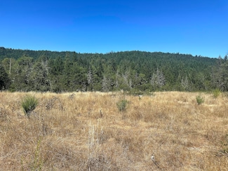 12124 Redwood Hwy, Wilderville, OR 97543