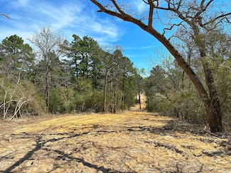 11 ac Cr 292, Buffalo, TX 75831