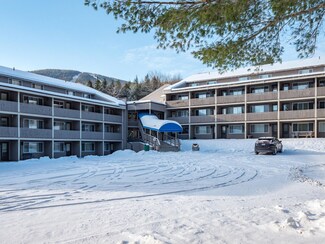 8 Fall Line Dr Unit N217, Newry, ME 04261