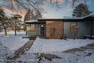 501 N Scott St Unit 10, Dewitt, MI 48820