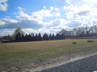 19 Taylor Ln, Clarendon, NC 28432