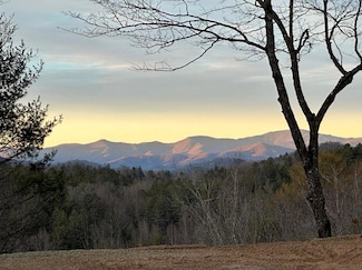 0 Cricket Hollow Unit 26039471, Otto, NC 28763