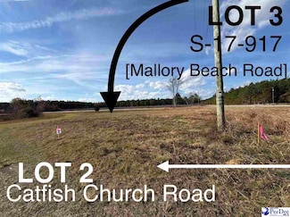 917 Mallory Beach Rd, Latta, SC 29565
