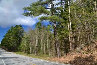 242 Wiggin Rd, Danbury, NH 03230