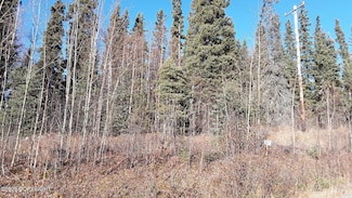 Lot 3 Nenana Valley View, Nenana, AK 99760
